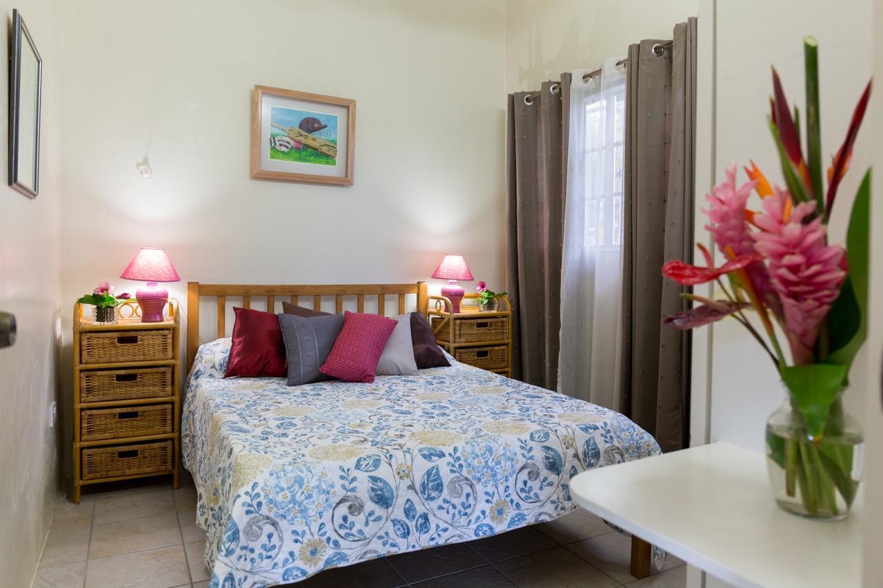 Smithy'S Eco-Apartment Morne Jaloux Ridge Esterno foto